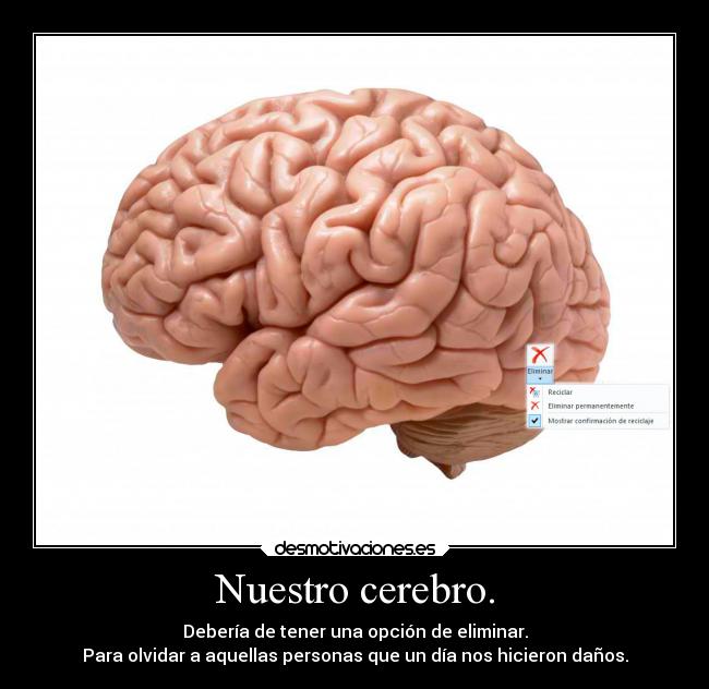 Nuestro cerebro. -