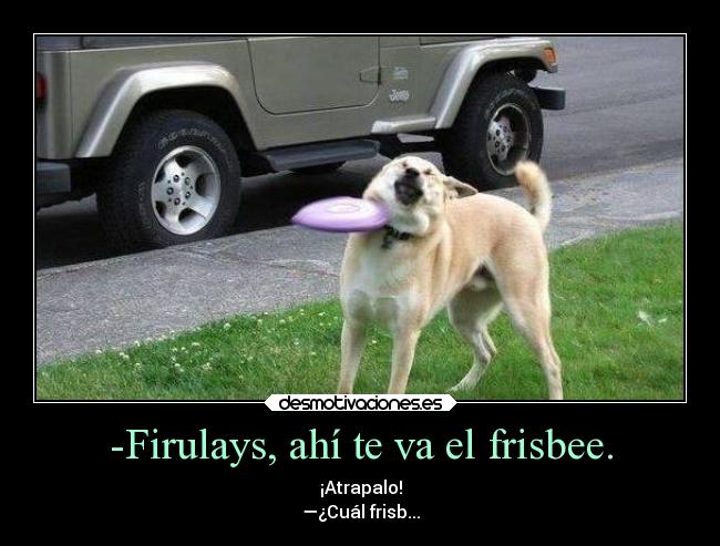 -Firulays, ahí te va el frisbee. - ¡Atrapalo!
—¿Cuál frisb...