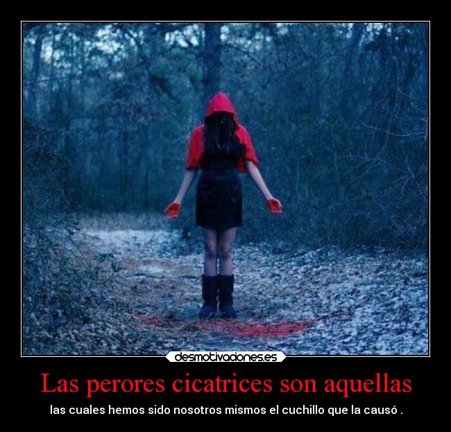 Las perores cicatrices son aquellas - las cuales hemos sido nosotros mismos el cuchillo que la causó .