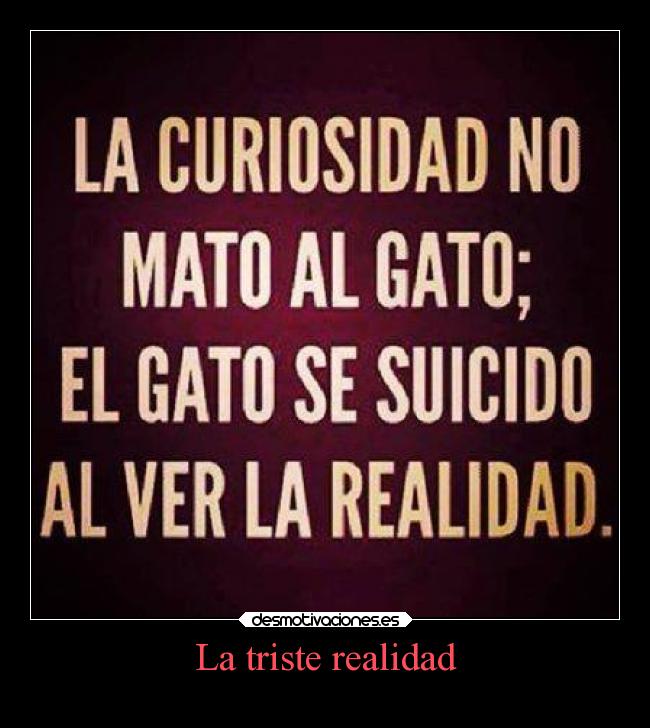 La triste realidad - 