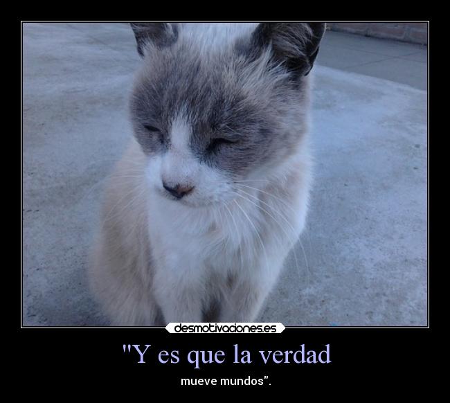 Y es que la verdad -