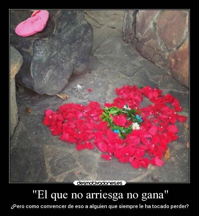 El que no arriesga no gana -