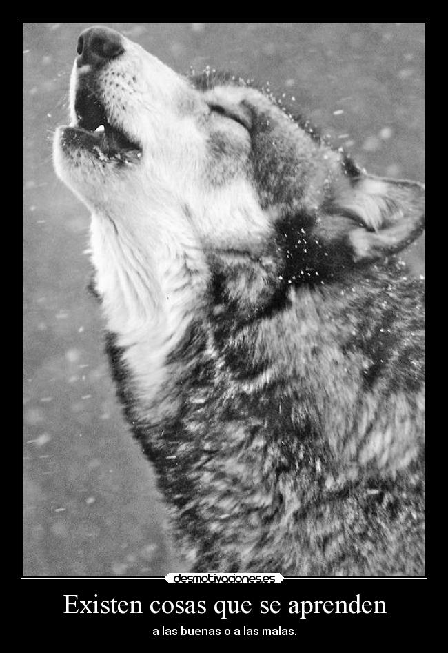 Existen cosas que se aprenden -