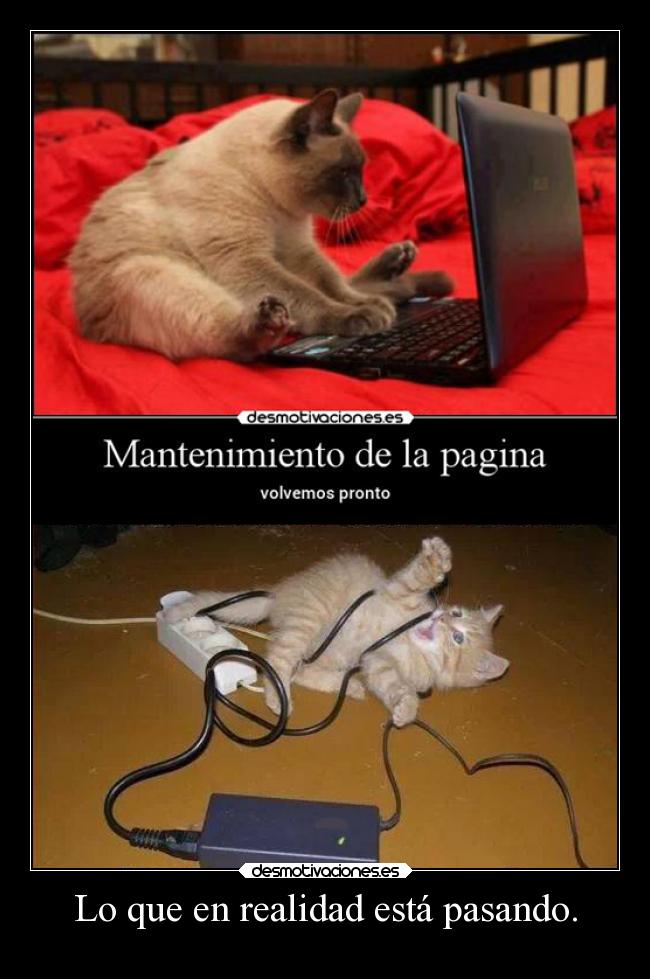 Lo que en realidad está pasando. - 