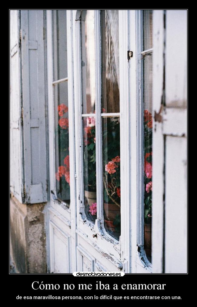 Cómo no me iba a enamorar -