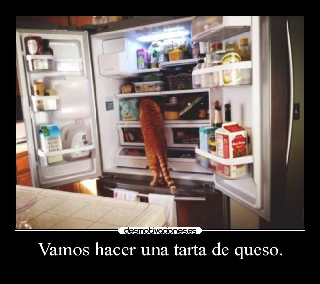Vamos hacer una tarta de queso. - 