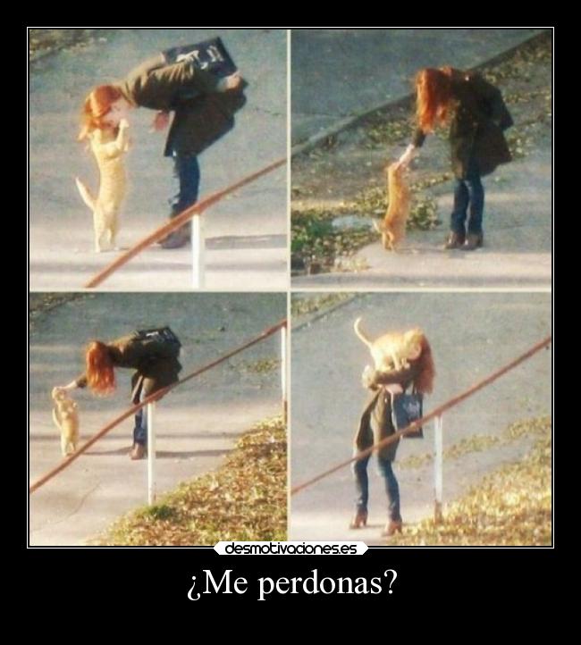 ¿Me perdonas? - 