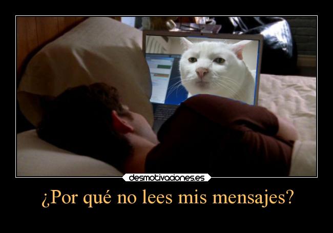 ¿Por qué no lees mis mensajes? -