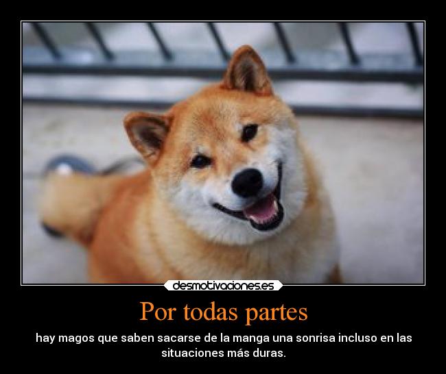 Por todas partes - hay magos que saben sacarse de la manga una sonrisa incluso en las
situaciones más duras.