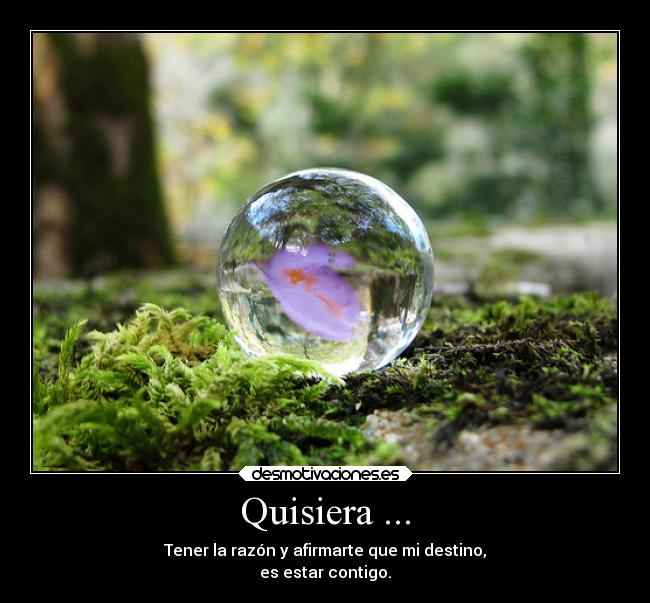Quisiera ... - Tener la razón y afirmarte que mi destino,
es estar contigo.