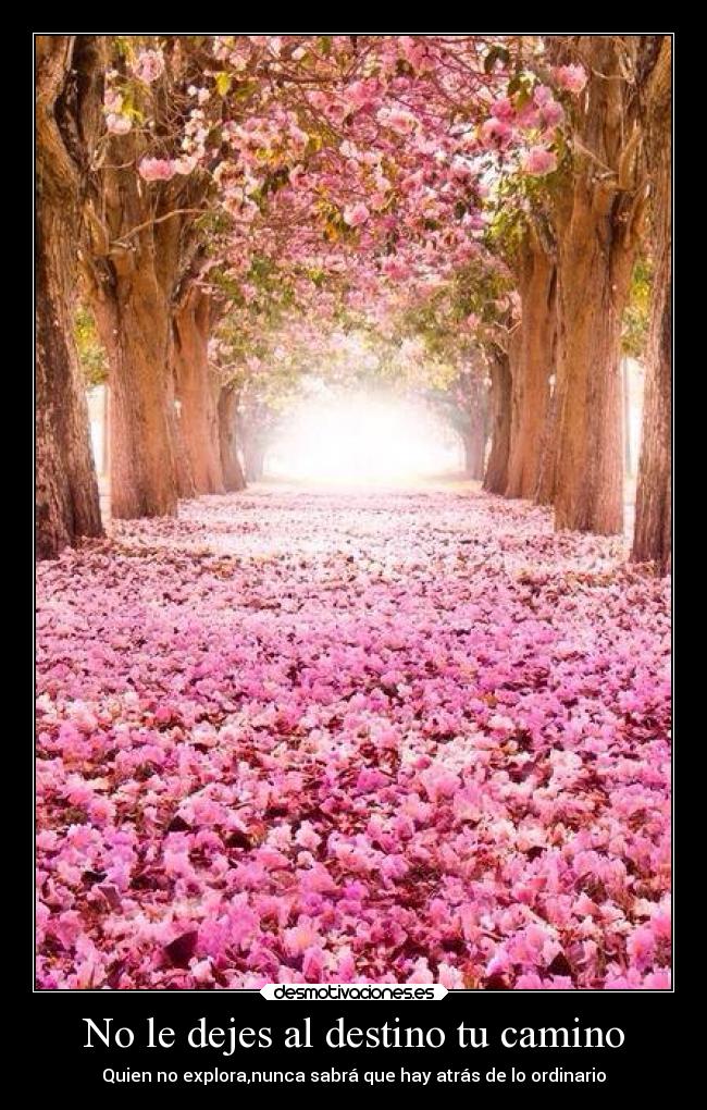 No le dejes al destino tu camino - 
