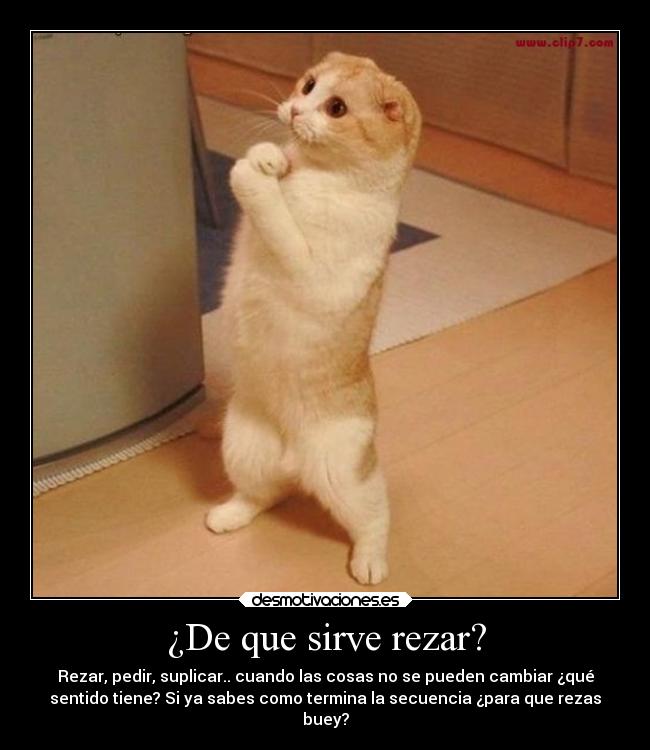 ¿De que sirve rezar? - Rezar, pedir, suplicar.. cuando las cosas no se pueden cambiar ¿qué
sentido tiene? Si ya sabes como termina la secuencia ¿para que rezas
buey?