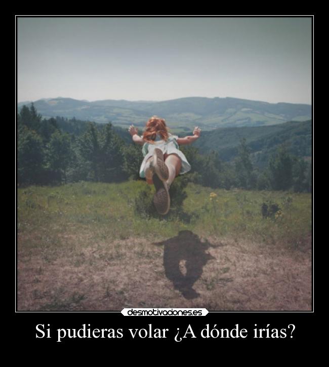 Si pudieras volar ¿A dónde irías? - 