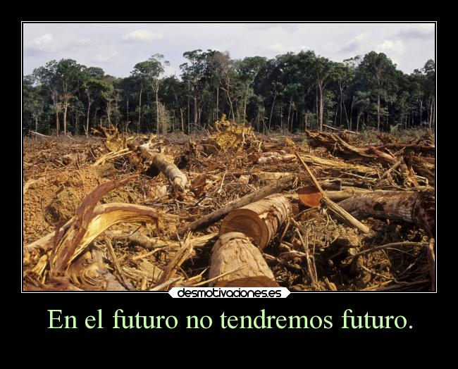 En el futuro no tendremos futuro. -