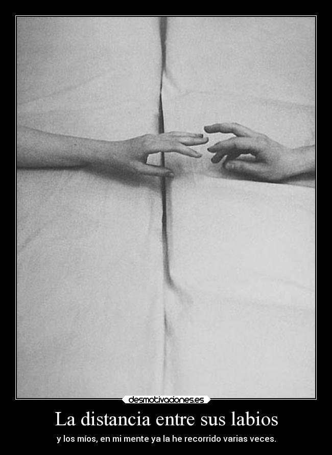 carteles distancia distancia besos desmotivaciones