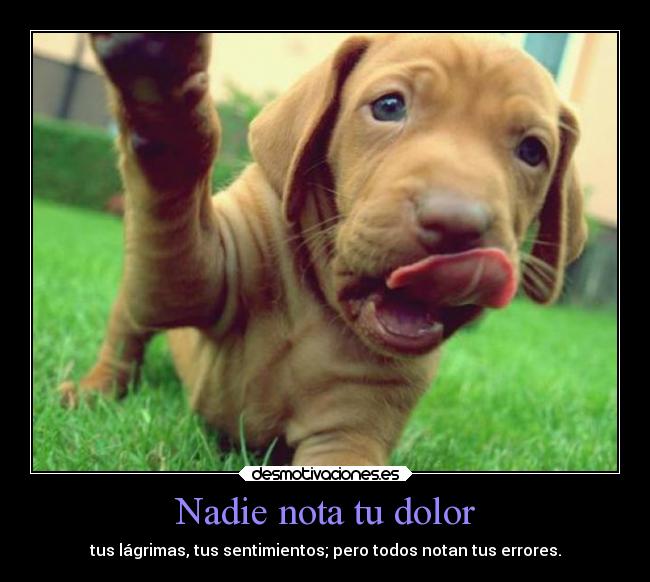 Nadie nota tu dolor - 