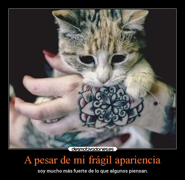 A pesar de mi frágil apariencia -