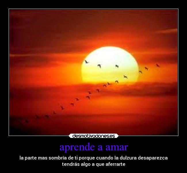 aprende a amar - la parte mas sombría de ti porque cuando la dulzura desaparezca
tendrás algo a que aferrarte
