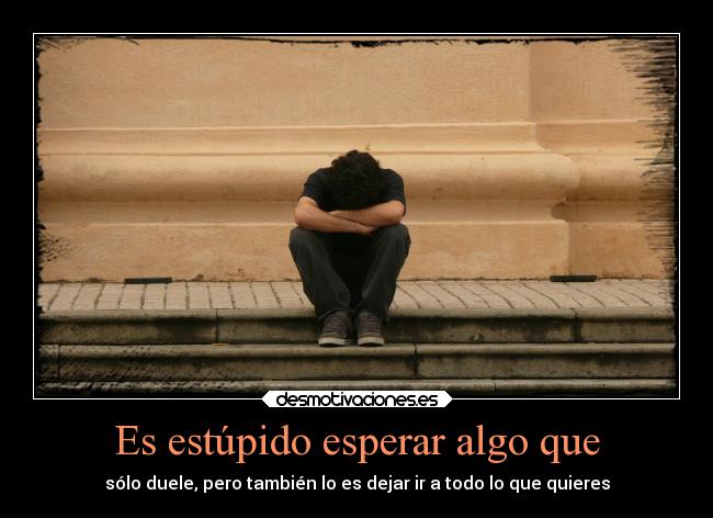 carteles dolor estupidez marchar dejar doler querer desmotivaciones