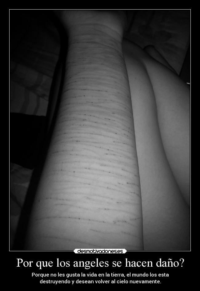 Por que los angeles se hacen daño? - 
