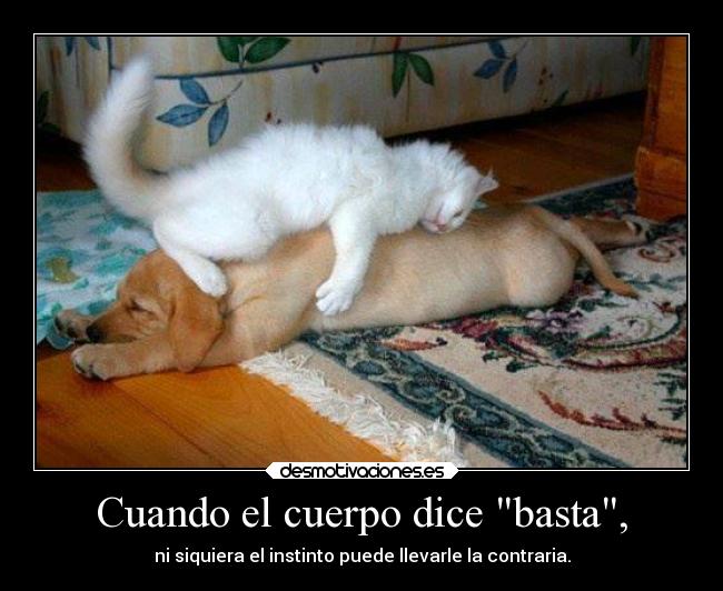 Cuando el cuerpo dice basta, -