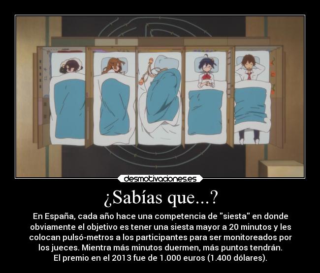 carteles dormir espana anime pais siesta descanso chuunibyoudemokoigashitairen rika takanashi pixilin desmotivaciones