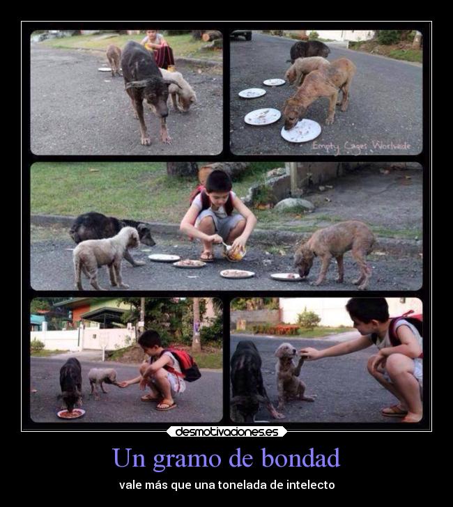Un gramo de bondad -
