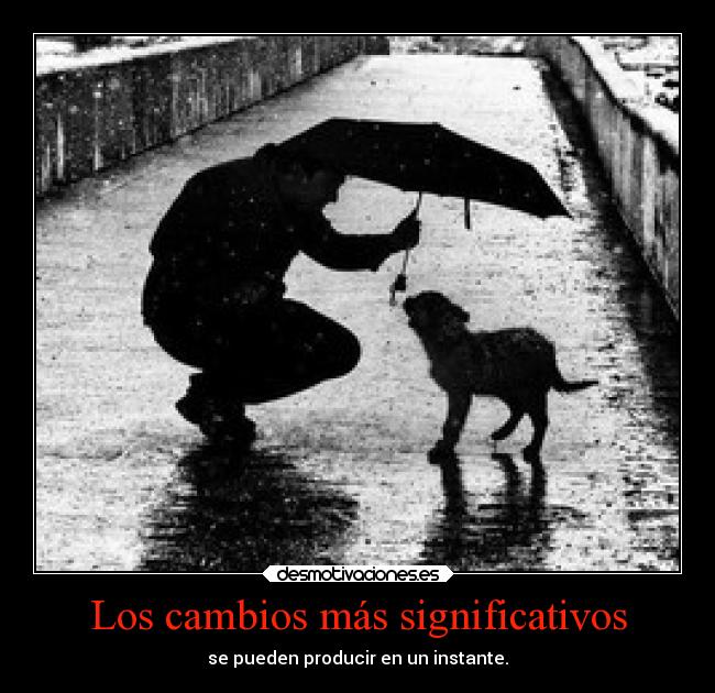 Los cambios más significativos - 