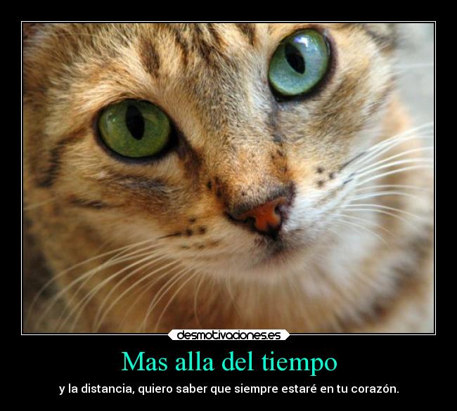 Mas alla del tiempo - y la distancia, quiero saber que siempre estaré en tu corazón.