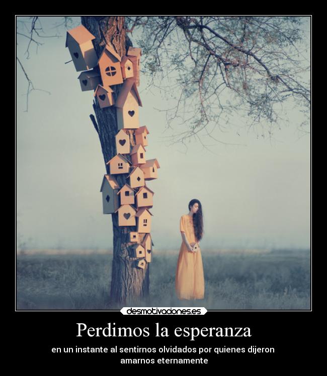 Perdimos la esperanza - en un instante al sentirnos olvidados por quienes dijeron
amarnos eternamente