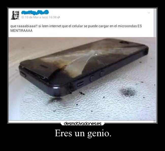 Eres un genio. -
