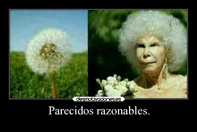 Parecidos razonables. -