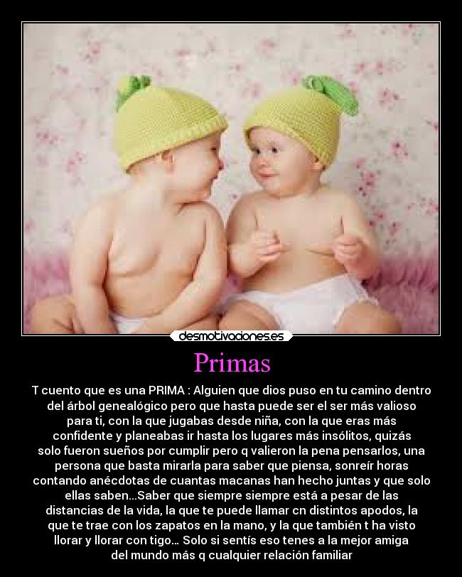 Primas - 