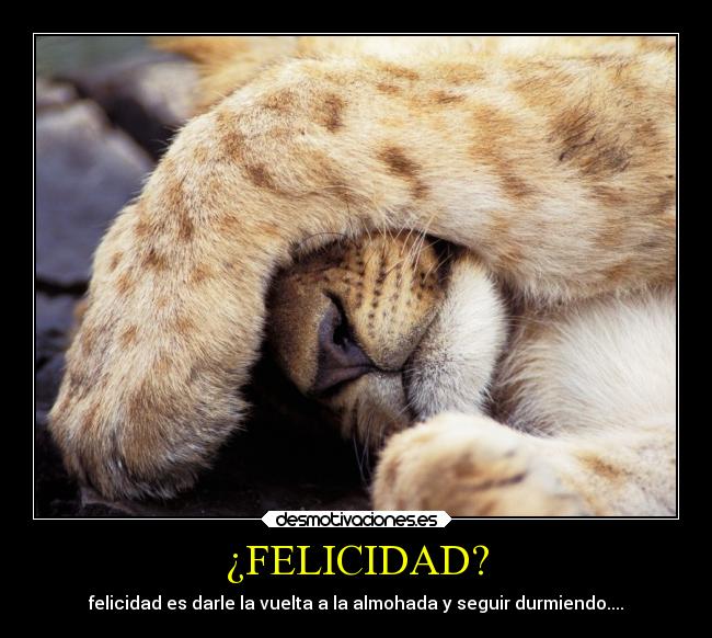 ¿FELICIDAD? - felicidad es darle la vuelta a la almohada y seguir durmiendo....