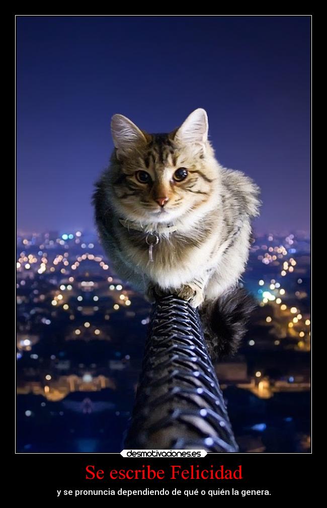 Se escribe Felicidad - y se pronuncia dependiendo de qué o quién la genera.