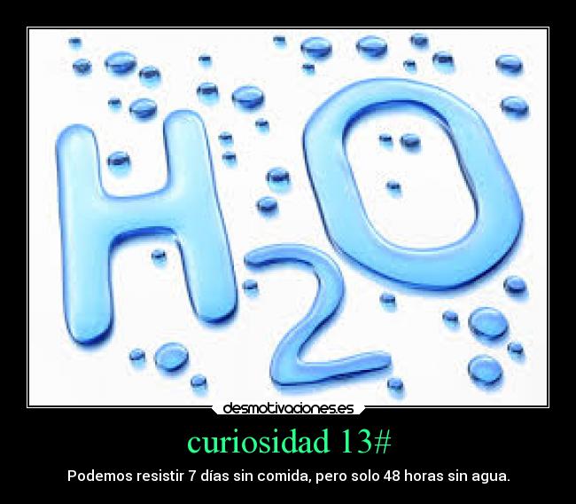 curiosidad 13# -