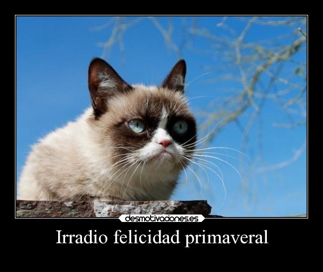 Irradio felicidad primaveral - 