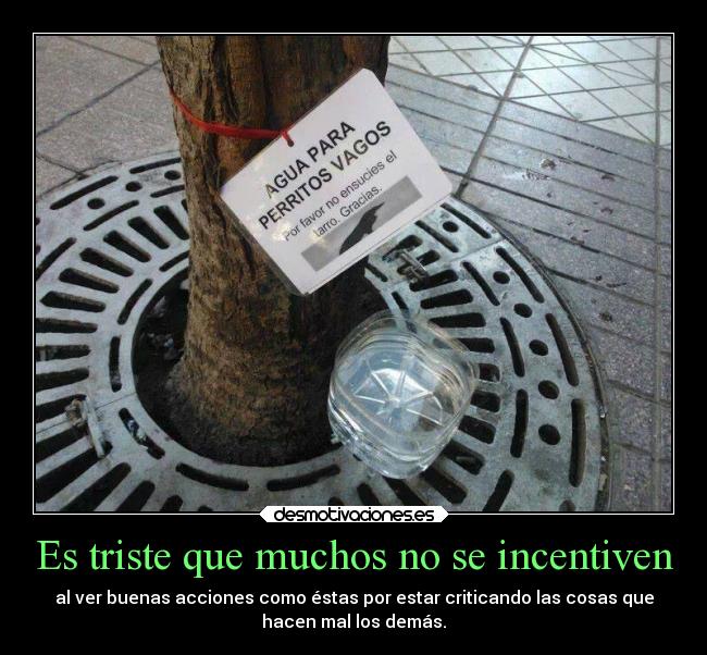 Es triste que muchos no se incentiven - 
