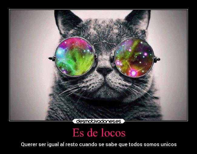 Es de locos -