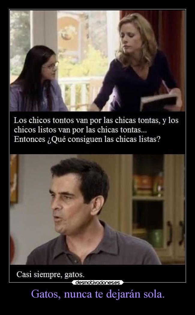 Gatos, nunca te dejarán sola. -