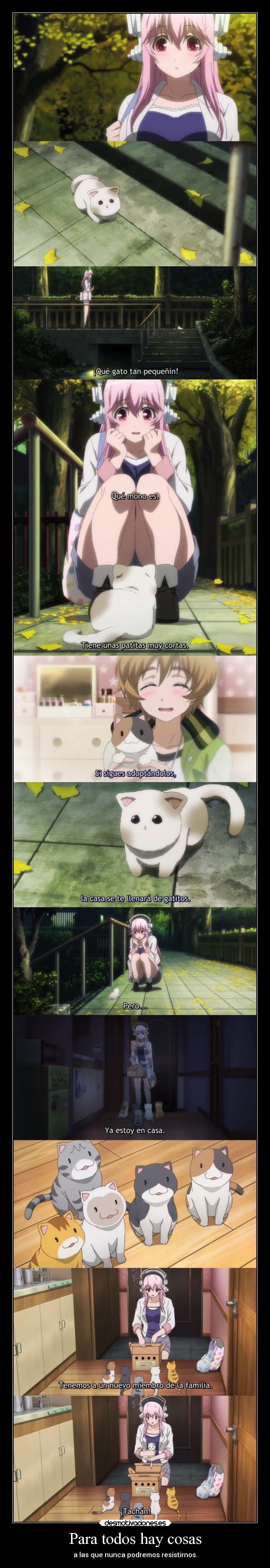 Para todos hay cosas - 