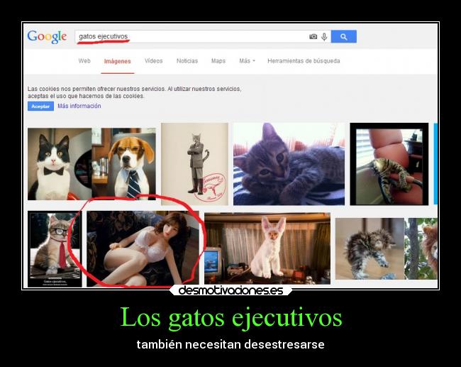 Los gatos ejecutivos -