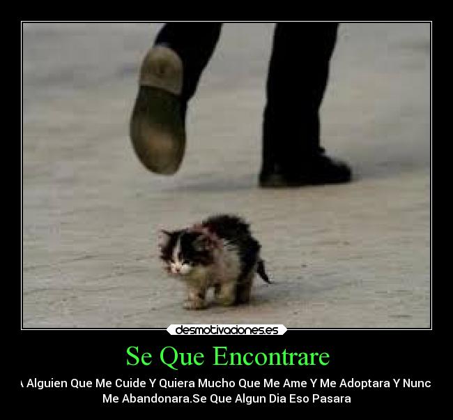 Se Que Encontrare - A Alguien Que Me Cuide Y Quiera Mucho Que Me Ame Y Me Adoptara Y Nunca
Me Abandonara.Se Que Algun Dia Eso Pasara