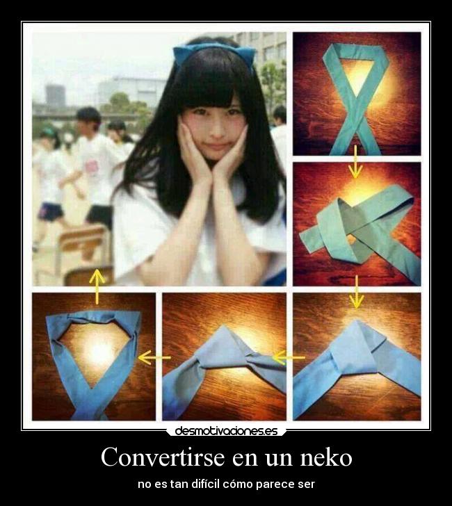 carteles gatos desmotivaciones