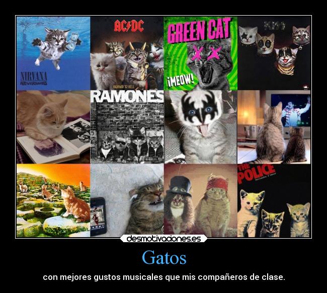 carteles gatos navidad musica mundo animales desmotivaciones