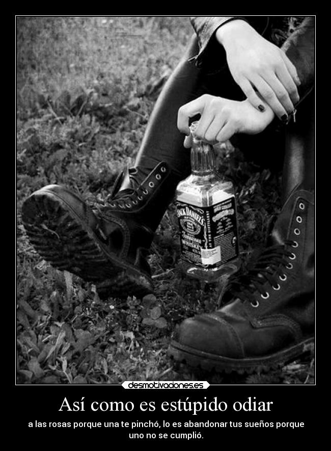 carteles gatos nosferatum nosferattu nosfezood nosfergatu desmotivaciones