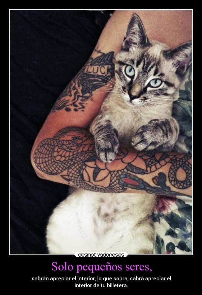 Solo pequeños seres, - sabrán apreciar el interior, lo que sobra, sabrá apreciar el
interior de tu billetera.