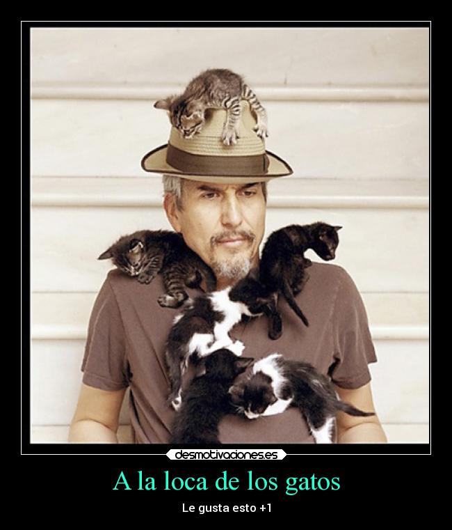 A la loca de los gatos -