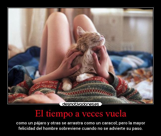 El tiempo a veces vuela - como un pájaro y otras se arrastra como un caracol; pero la mayor
felicidad del hombre sobreviene cuando no se advierte su paso.