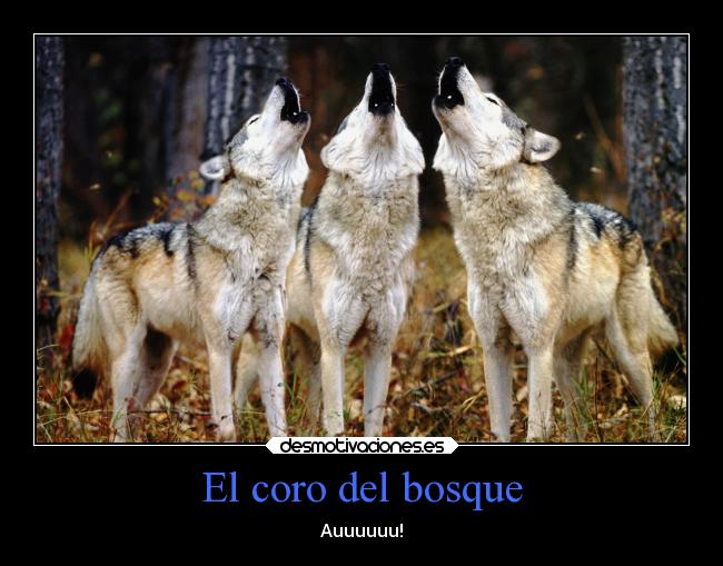 El coro del bosque - Auuuuuu!